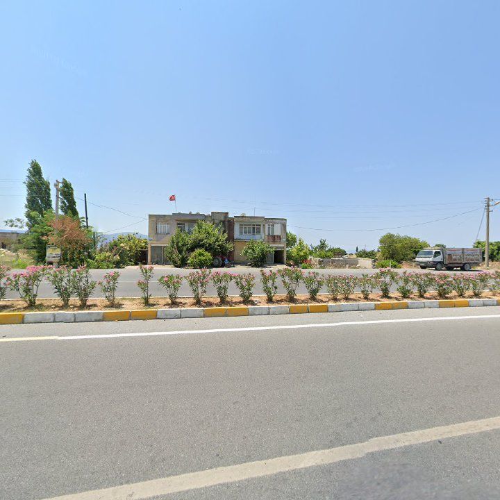 Fotoğraf 7