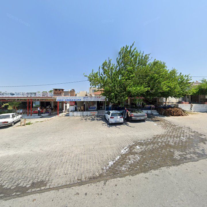 Fotoğraf 5