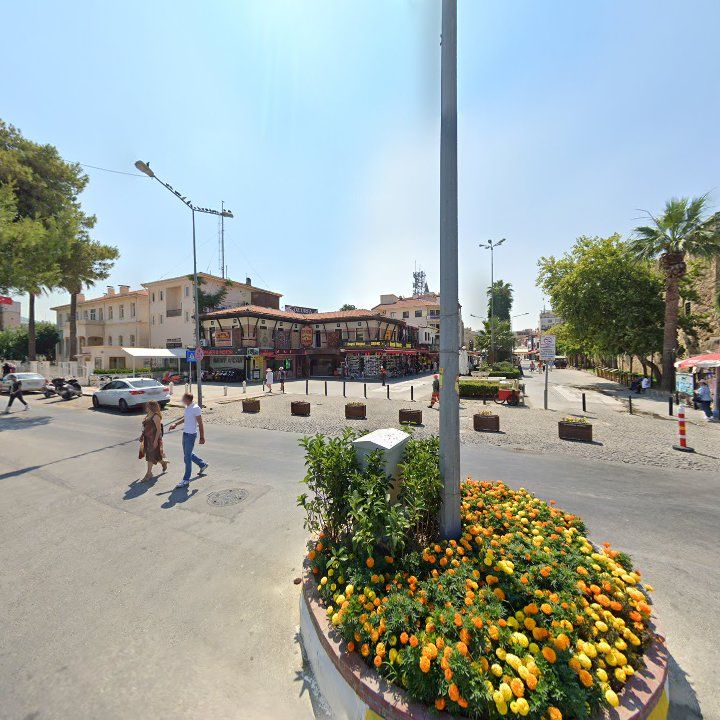 Fotoğraf 8