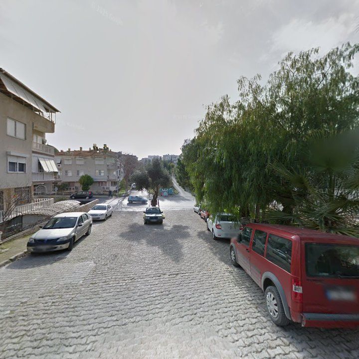 Fotoğraf 10