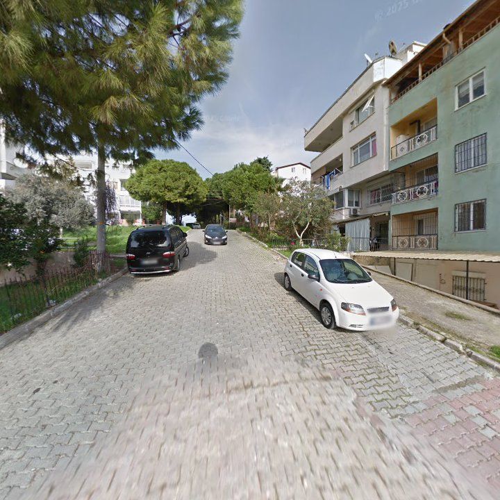 Fotoğraf 8