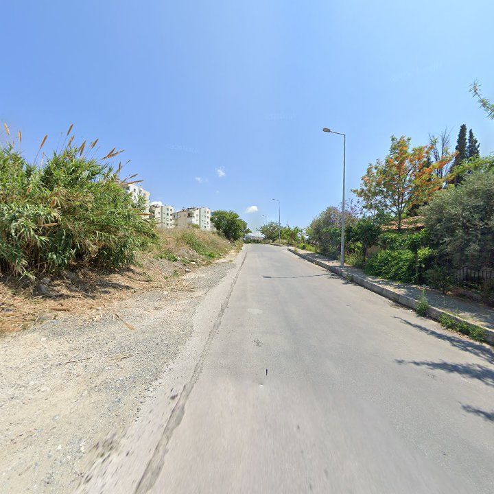 Fotoğraf 11