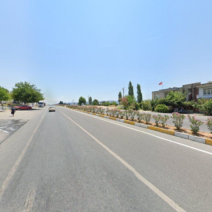Fotoğraf 9