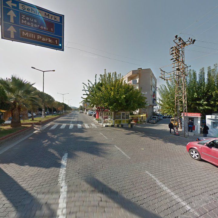 Fotoğraf 8