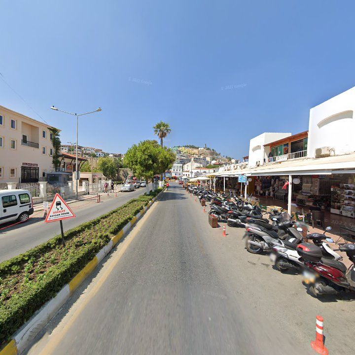 Fotoğraf 9