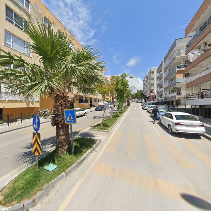 Fotoğraf 12