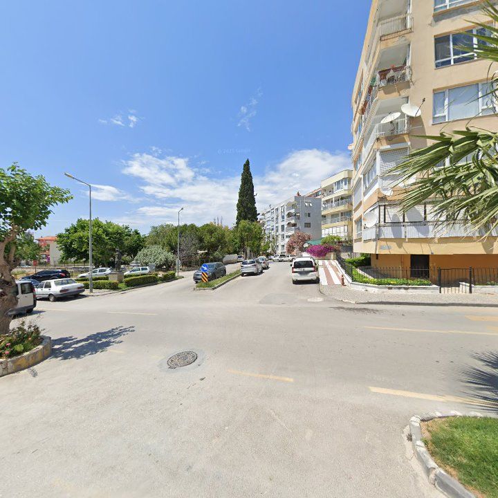 Fotoğraf 11