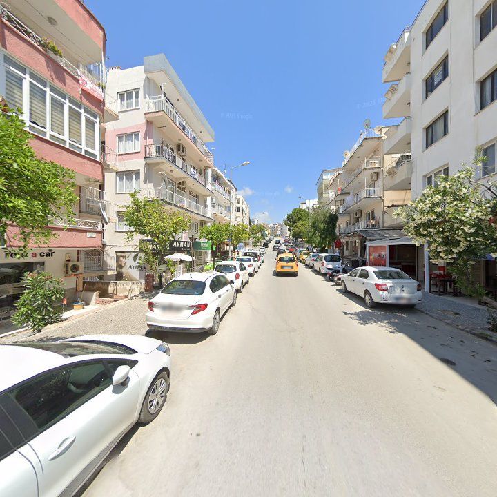 Fotoğraf 11