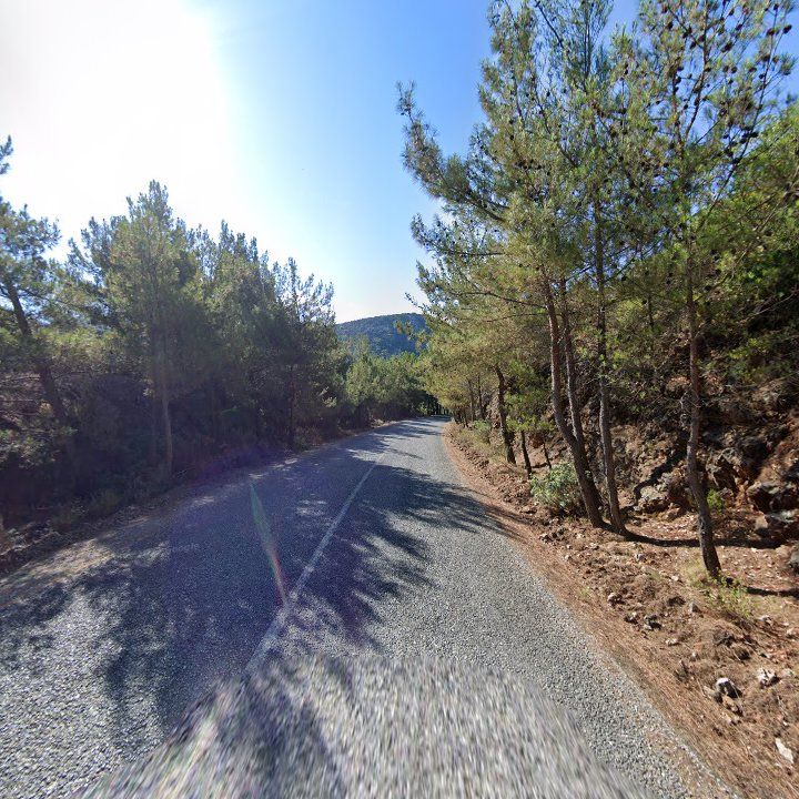Fotoğraf 10