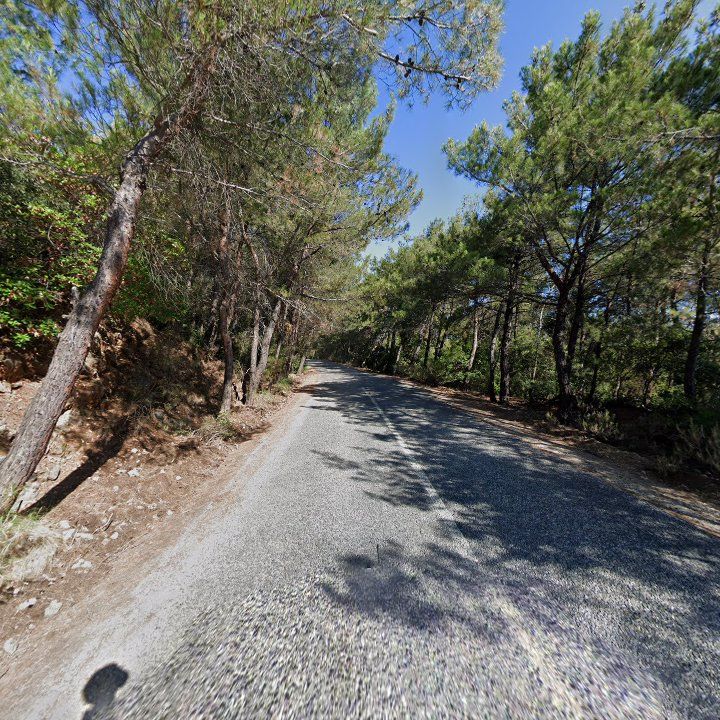 Fotoğraf 12