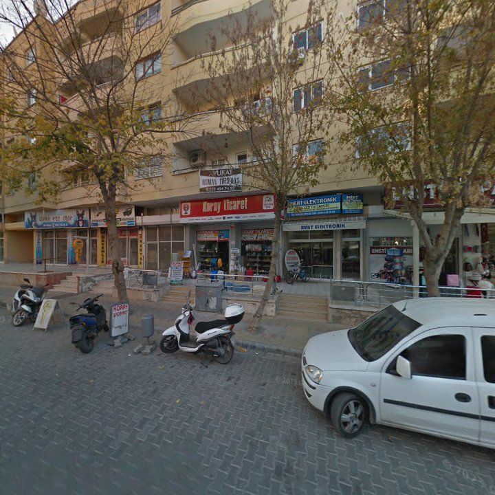 Fotoğraf 13