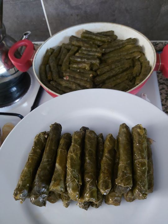 Fotoğraf 19