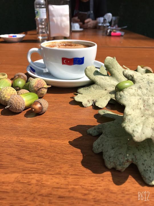 Fotoğraf 20