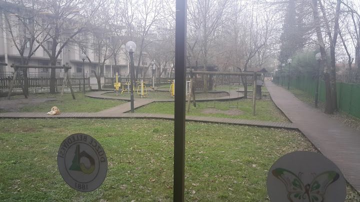 Fotoğraf 13