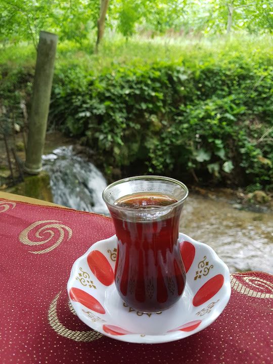 Fotoğraf 15