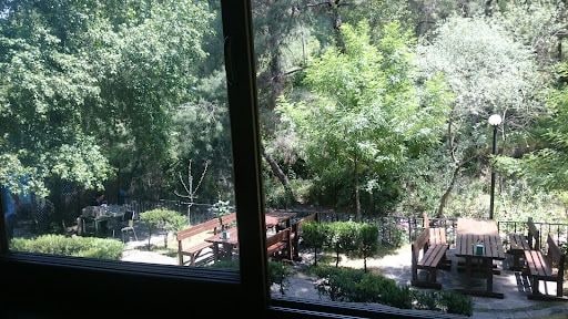 Yorum fotoğrafı 5