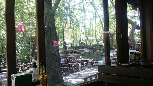 Yorum fotoğrafı 6