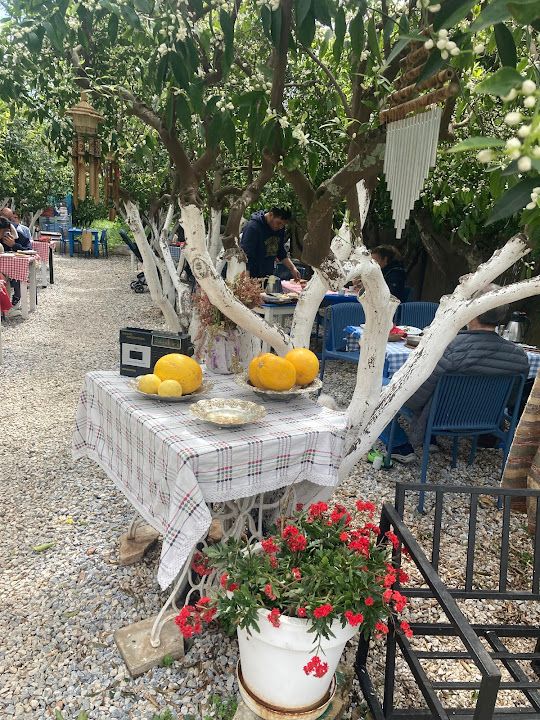 Fotoğraf 57