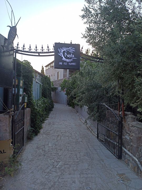 Yorum fotoğrafı 2