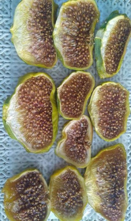 Fotoğraf 37