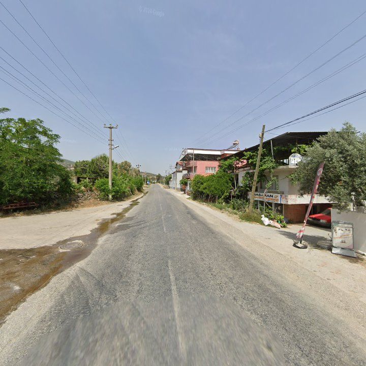 Fotoğraf 10