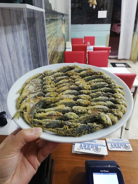 Fotoğraf 19
