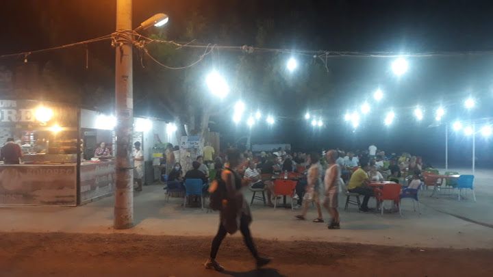Fotoğraf 15