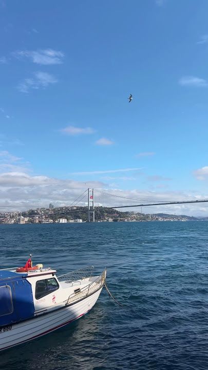 Fotoğraf 36