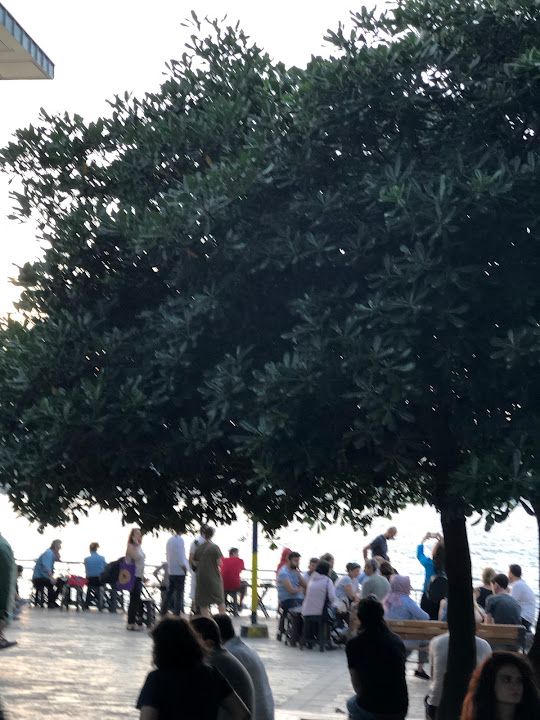 Fotoğraf 69
