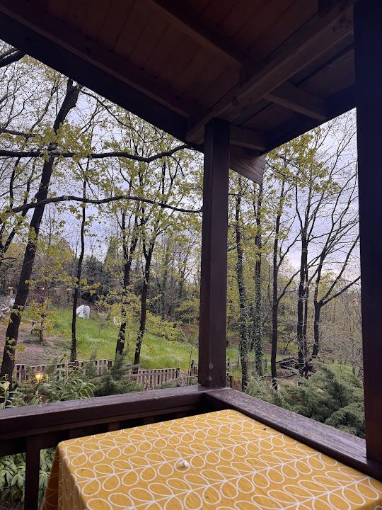 Fotoğraf 35