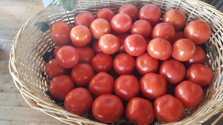 Fotoğraf 43