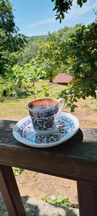 Fotoğraf 41