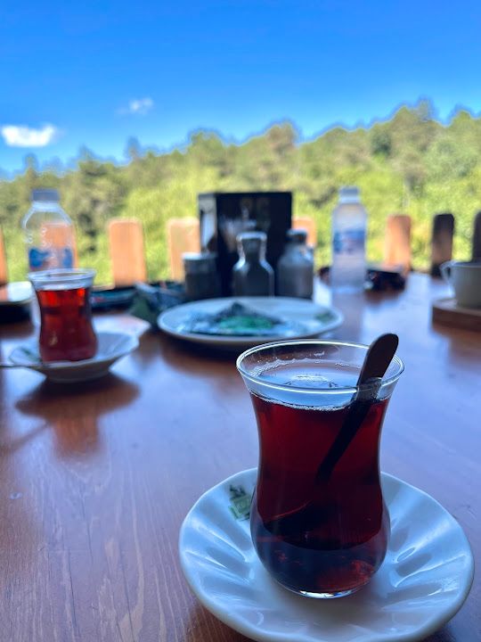 Fotoğraf 45