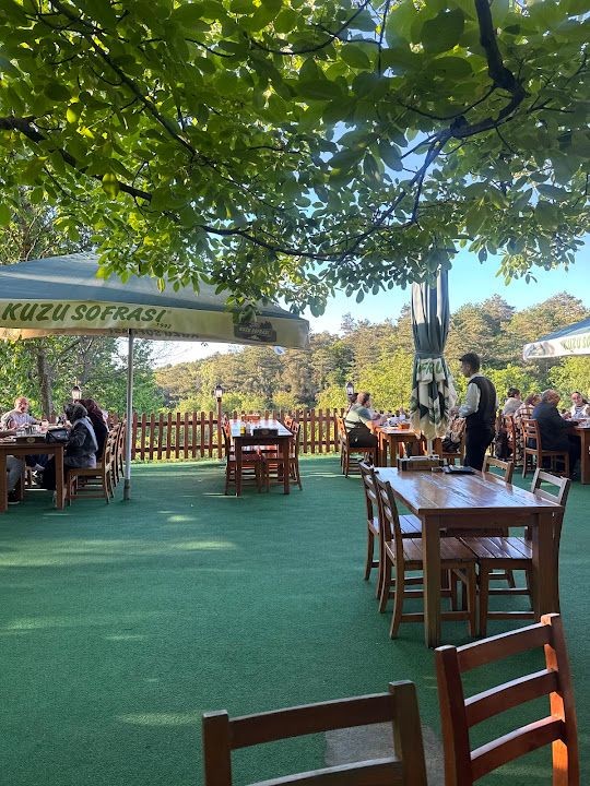 Fotoğraf 41