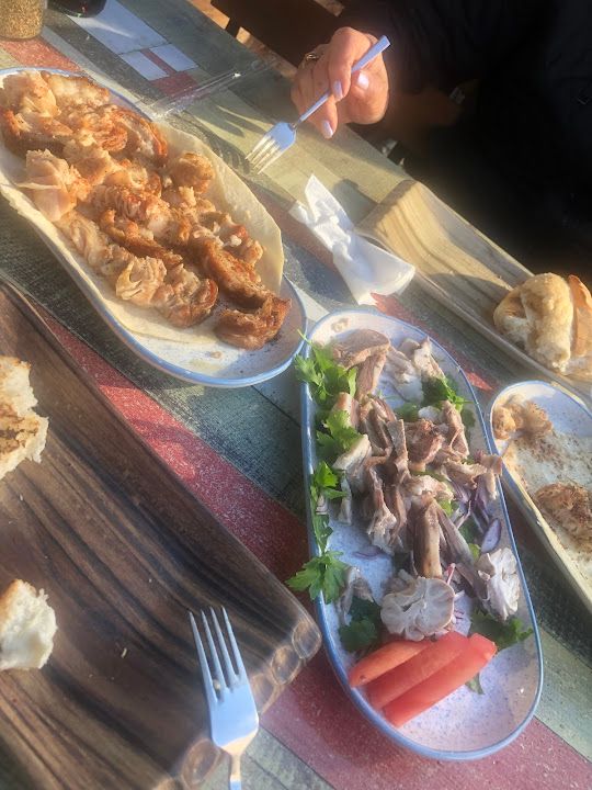 Fotoğraf 47