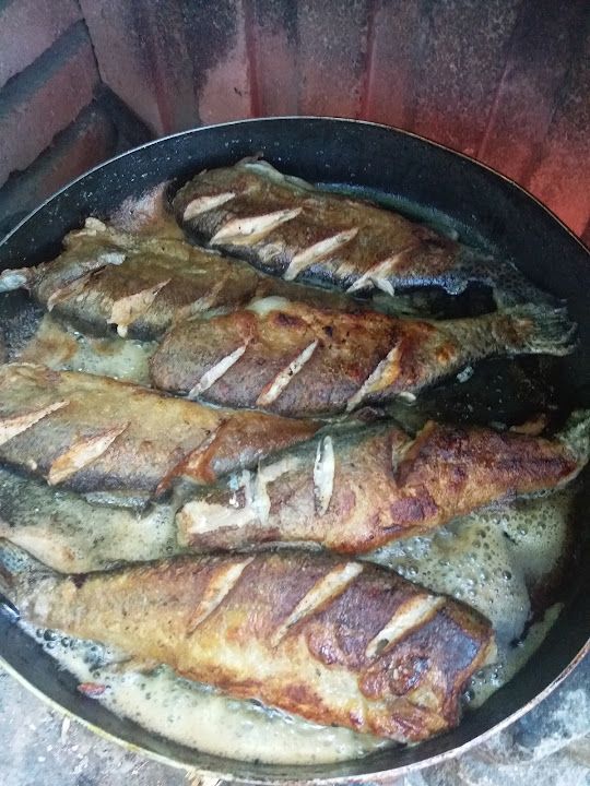 Fotoğraf 19