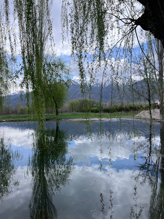 Yorum fotoğrafı 4
