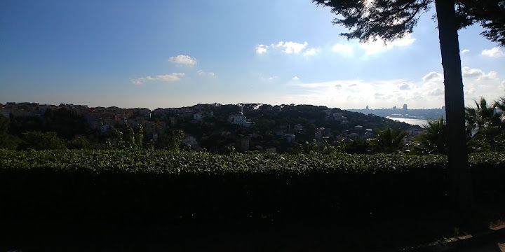 Fotoğraf 57