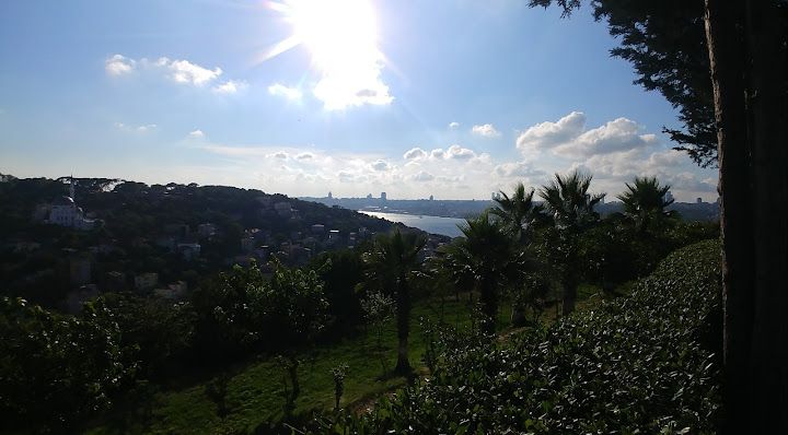 Fotoğraf 56