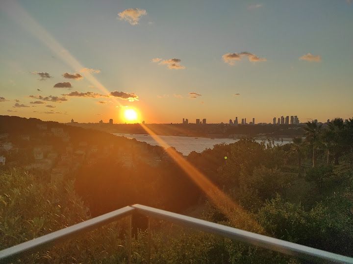 Fotoğraf 43