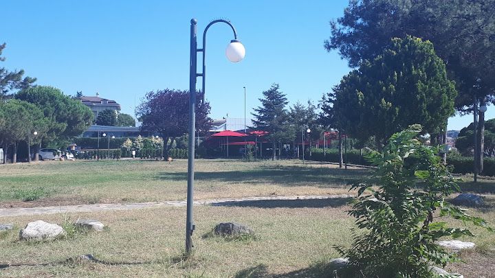 Fotoğraf 19