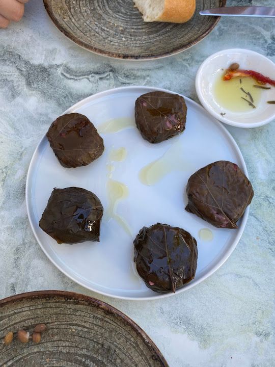 Fotoğraf 56