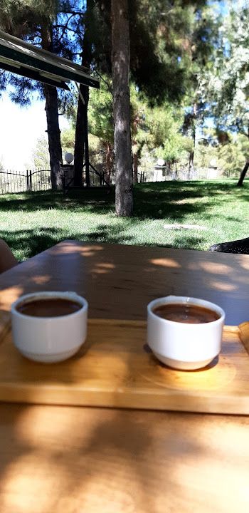 Fotoğraf 27