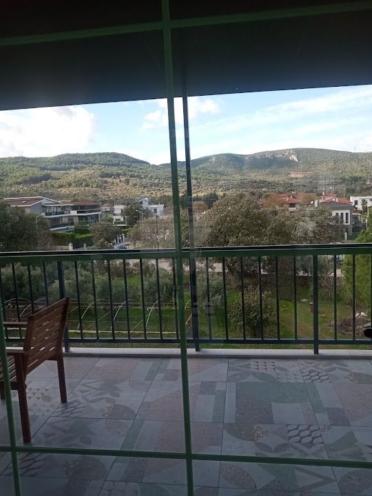 Fotoğraf 12