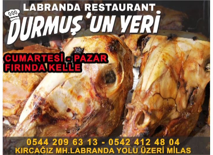 Fotoğraf 19