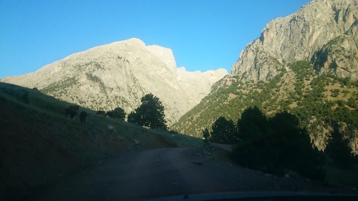 Yorum fotoğrafı 4