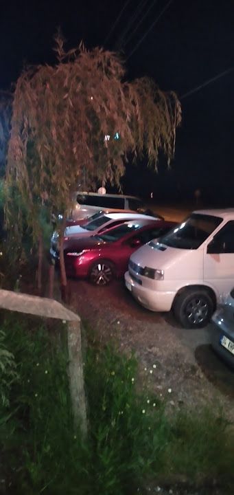 Fotoğraf 15