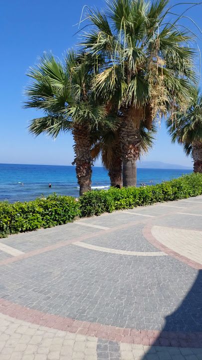 Fotoğraf 32