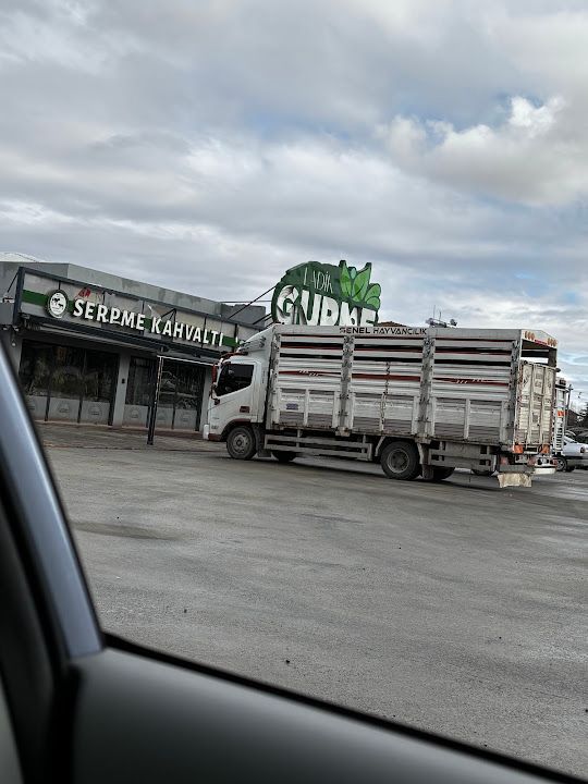 Yorum fotoğrafı 2