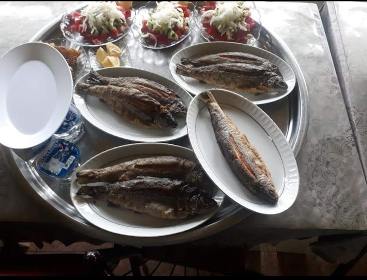 Karamuk Köyü Alabalık Tesisi